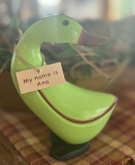 ANA - Wood Duck