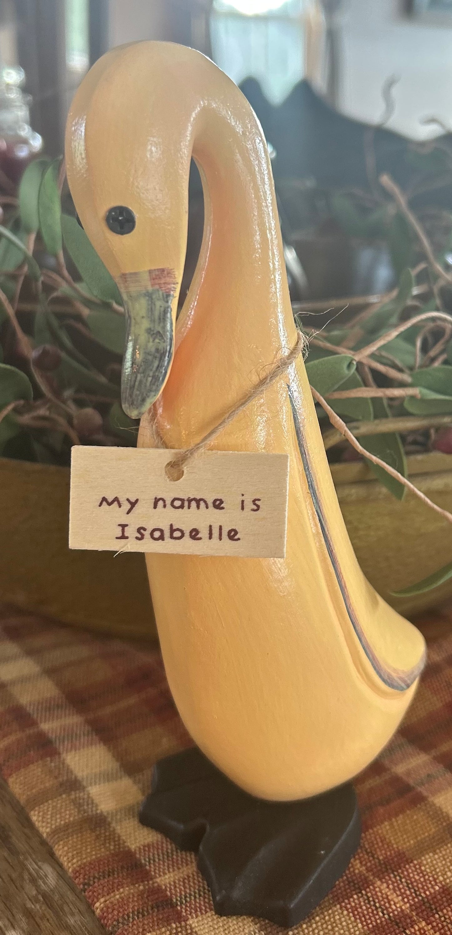 ISABELLE - Wood Duck